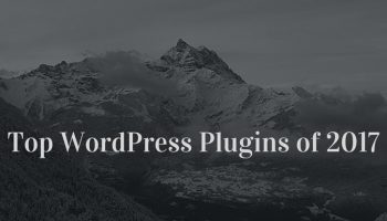 Top WordPress Plugins