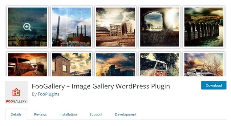 FooGallery is one of the best image gallery plugins for WordPress sites.
