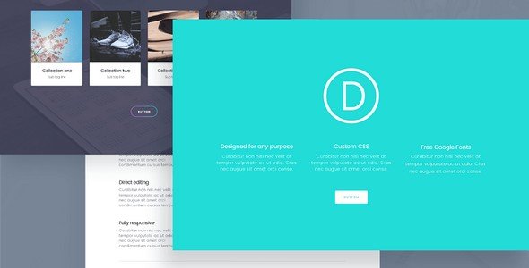 Divi is considered to be another top ranking ecommerce WordPress theme.