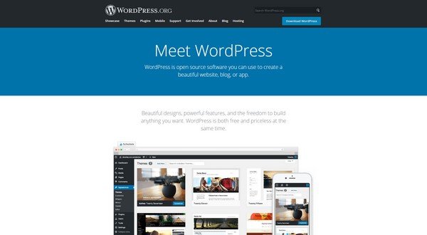 WordPress is the most popular website creating a platform in the world today. 