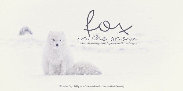 Download Pixelo Signature Fonts Bundle: 55 Amazing Fonts for All ...