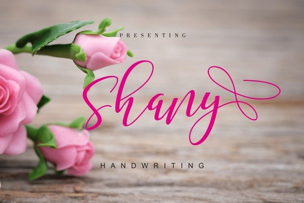 Shany is a modern and beautiful handwritten font.