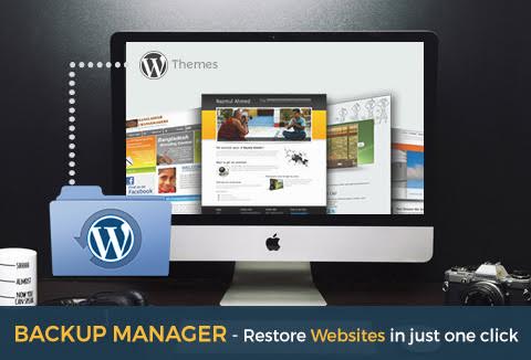 WP Backup Manager WordPress plugin is a convenient solution for automatic scheduled backups.