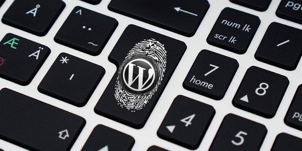 #8 WP Weekly Recap This article helps you with crucial strategies for boosting the security of your WordPress site.