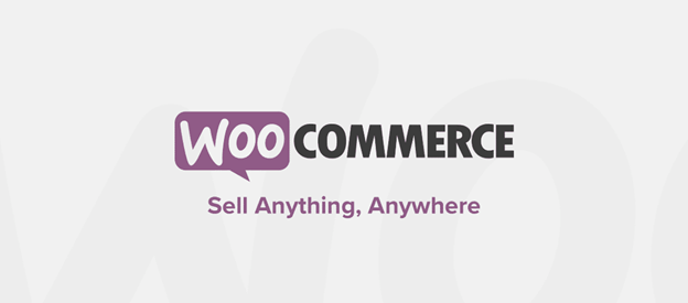 WooCommerce is a popular WordPress plugin used by eCommerce businesses.