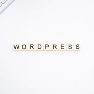 Interesting WordPress Website Statistics in 2021