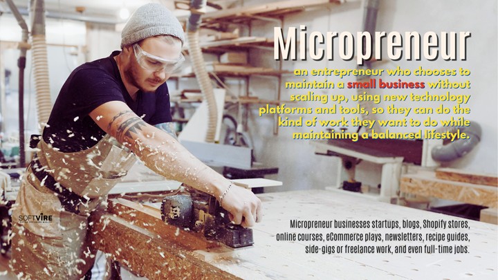 Micropreneurs are entrepreneurs who run a small business without expanding it.