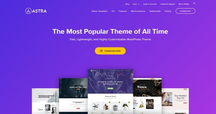 Astra is a fast, lightweight, and highly customizable WordPress theme.