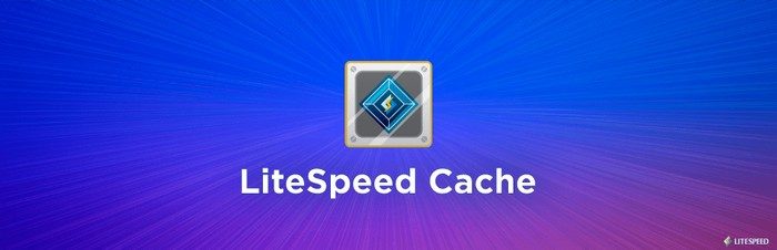 Litespeed Cache offers speed optimization through caching.