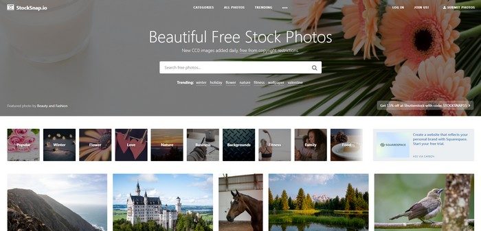 StockSnap.io offers thousands of free high-resolution stock photos. 